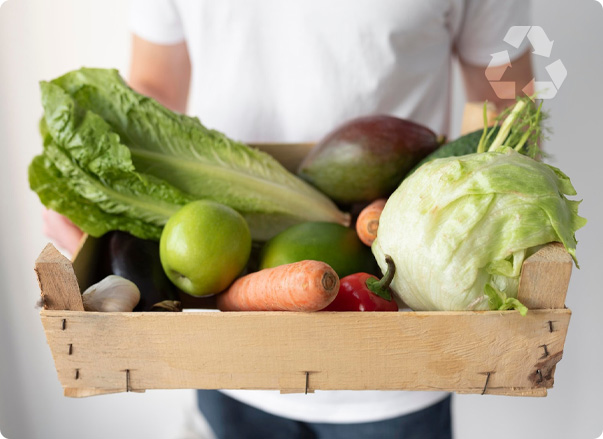 home_poliolefina_pcr